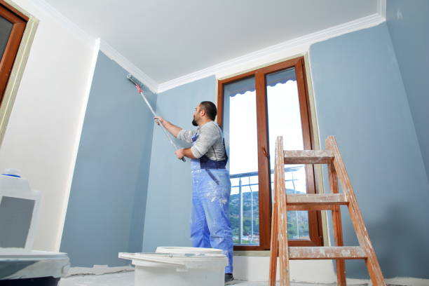 Reliable Carey, ID Dry wall and painting Solutions